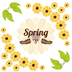 Spring season design 