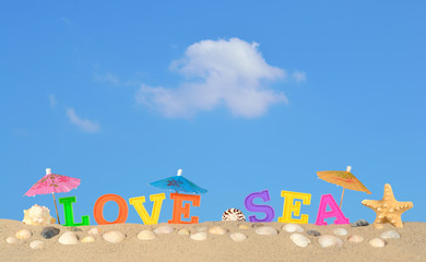 Fototapeta na wymiar Love sea letters on a beach sand