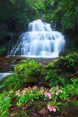Naklejka premium Waterfall in deep forest