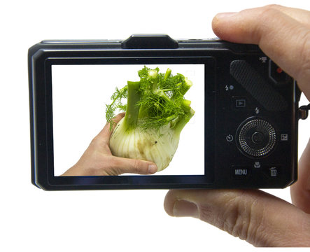 28 - photographing the fennel
