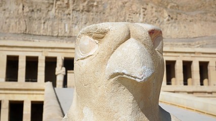 Horus - Falke vor dem Tempel der Hatschepsut, Theben, Ägypten