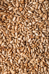 Sunflower Seeds