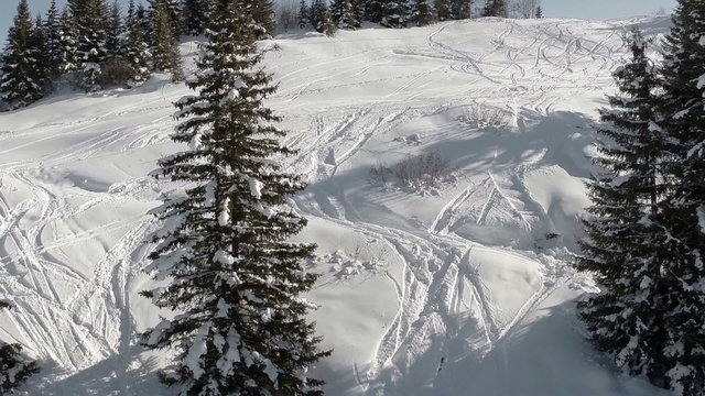 Aerial shot of a Ski resort in the French alps with alpine tree's in foreground
