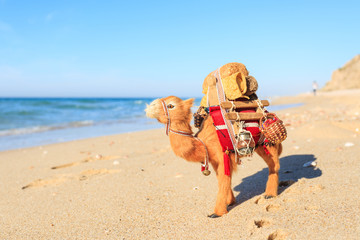 Camel loaded goods on the sand