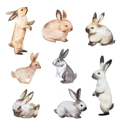 Acrylglas douchewanden met foto Schattige konijntjes Set van Pasen konijnen. Handgetekende schets en aquarelillustraties