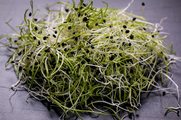 Onion sprouts,healthy  food concept on wooden bacground