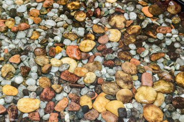 Colorful round stones under still transparent water.