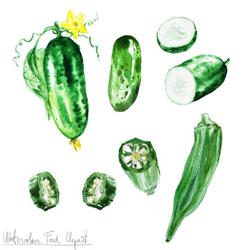 Watercolor Food Clipart - Cucumber and Okra 