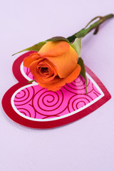 Colorful rose for Valentines day. Image for greeting card.
