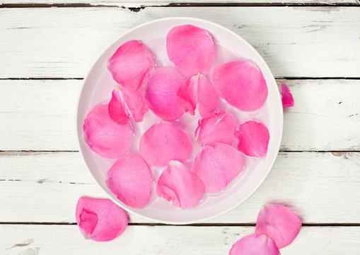 Pink Rose Petals In Bowl Of Water