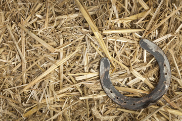 Horseshoe on straw backgrond © eyewave