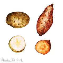 Gordijnen Aquarel Voedsel Clipart - Aardappel © nataliahubbert