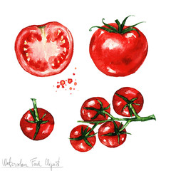Watercolor Food Clipart - Tomato - 102240163