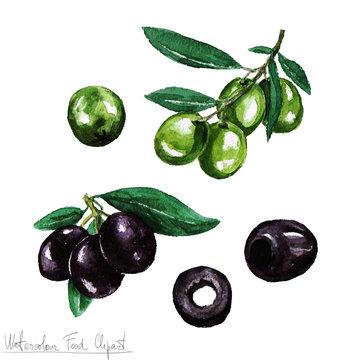 Watercolor Food Clipart - Olive