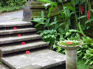 Steintreppe mit wunderschöner Blumendekoration mit roten Hibiskus-Blüten, Bali, Indonesien © vulkanismus