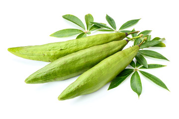 fresh ceiba pods on white