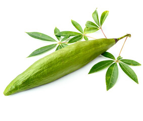 fresh ceiba pods on white