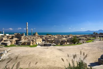 Foto auf Acrylglas Tunisia. Ancient Carthage. Panorama of Antonine Baths - large column from frigidarium on left side © WitR