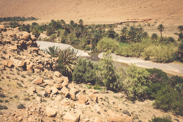 Fototapeta na wymiar Wide view of cultivated fields and palms in Errachidia Morocco N