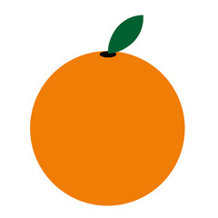 Orange flat icon