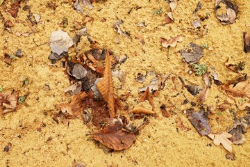 Autumn leaves on wet dirt sandy road. Rotten dark leawes on sand ground, sandbox.
