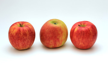 apples