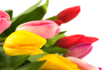 Fototapeta premium Bouquet of colorful tulips.