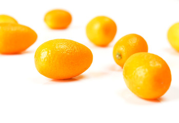 Kumquat on white background.