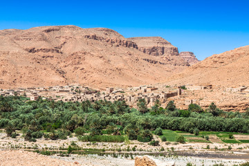 Wide view of cultivated fields and palms in Errachidia Morocco N