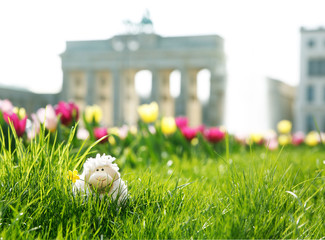 easter in Berlin, toy sheep hiding in green grass with Brandenburger Tor and a fountain