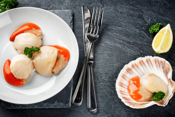 Raw queen scallops in sea food dinner concept. Food background