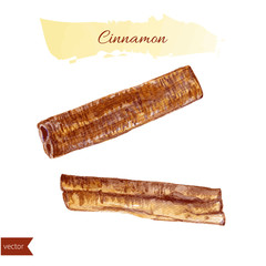 Cinnamon watercolor illustration isolated on white background. Hand drawn sketch. Design food elements. Series of food and ingredients for cooking.