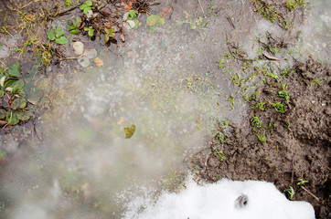Melting snow on green grass. First spring crocus flower in water from melting snow. Snow melting. Flow of water with lumps snow melts on the road in the city