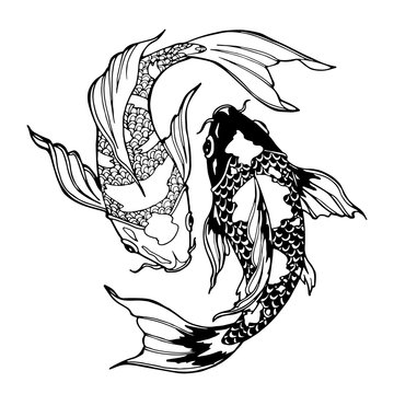 koi fish; ying yang symbol