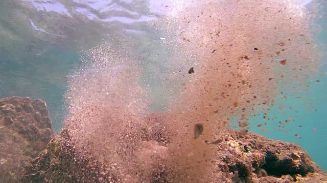 octopus cleans his house on the sand as the water jets of the jet, Indian Ocean, Hikkaduwa, Sri Lanka, South Asia 

