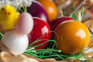 Easter eggs close up.