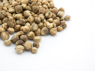  Cardamom seed isolated on white background