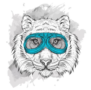 Portrait of a tiger in motorcycle glasses. Vector illustration
