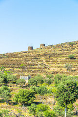 Fototapeta premium Panoramic view of the greek countryside in the island of Mykonos