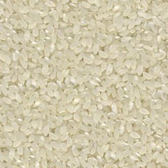 Seamless texture of rice grains