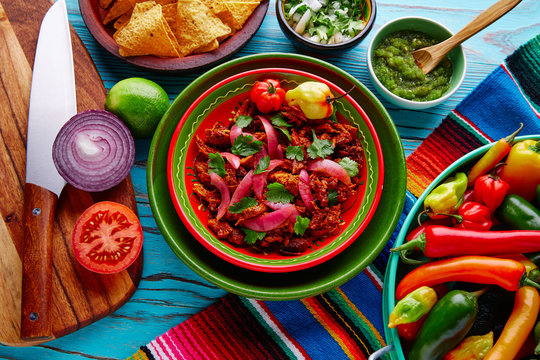 Cochinita Pibil Mexican food with red onion