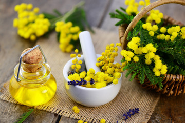 Mimose