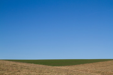 Wiese mit Feld im Winter