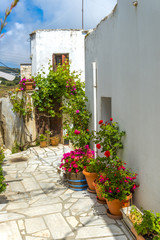 Fototapeta na wymiar Traditional houses in Mykonos, Greece. Beautiful sample of the a