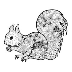 Squirrel doodle