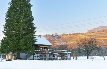 Fototapeta na wymiar Landscape on snowy countryside in Switzerland in winter