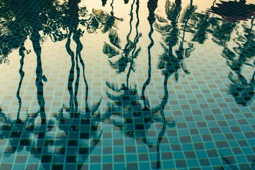 Papier Peint photo Palmier Palm trees reflected in the water of the pool.