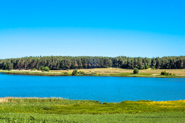 Landscape of fields of grain by the lake. Forest on the other si