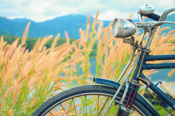 Fototapeta na wymiar Vintage bicycle with wild flowers on nature background, vintage tone style.
