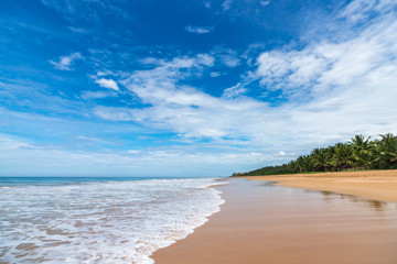 beautiful beach and tropical sea